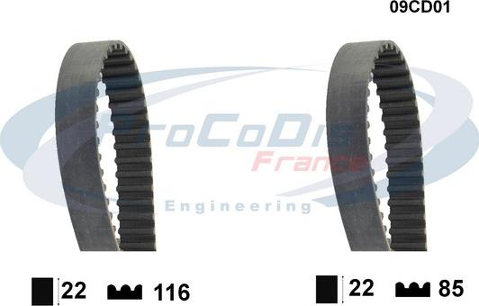 Procodis France 09CD01 - Timing Belt www.autospares.lv