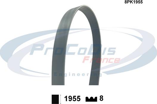 Procodis France 8PK1955 - Ķīļrievu siksna www.autospares.lv