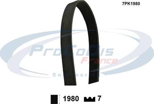 Procodis France 7PK1980 - Ķīļrievu siksna autospares.lv