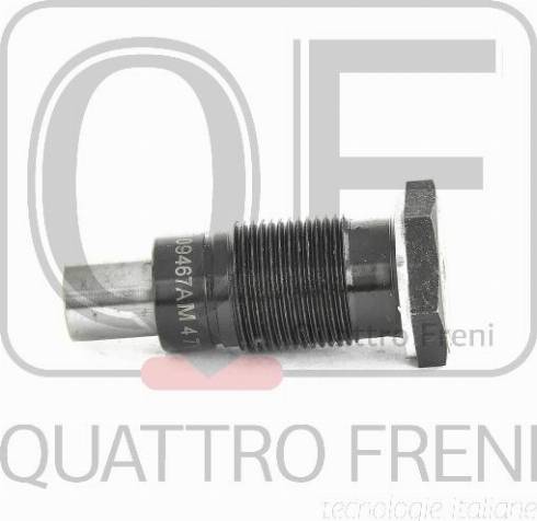 Quattro Freni QF83A00018 - Поршень, натяжное приспособление цепи привода распределитель www.autospares.lv