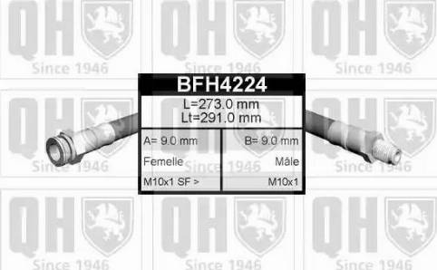 Quinton Hazell BFH4224 - Bremžu šļūtene www.autospares.lv