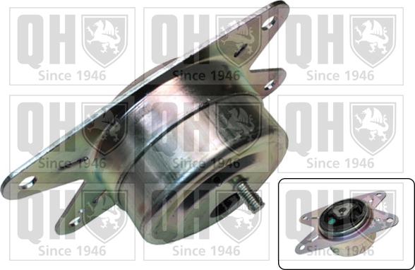 Quinton Hazell EM4446 - Piekare, Dzinējs www.autospares.lv