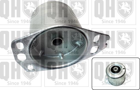 Quinton Hazell EM4573 - Piekare, Dzinējs www.autospares.lv