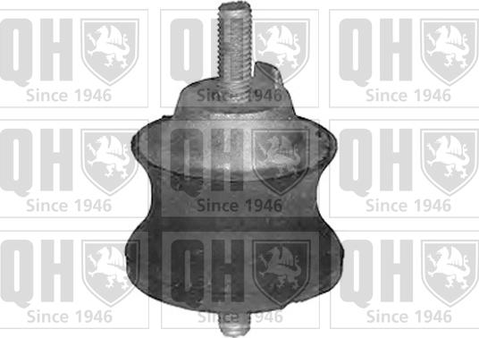 Quinton Hazell EM4053 - Piekare, Dzinējs www.autospares.lv