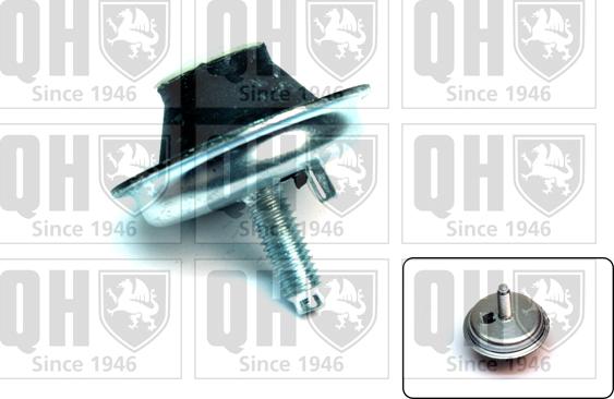 Quinton Hazell EM4144 - Piekare, Dzinējs www.autospares.lv