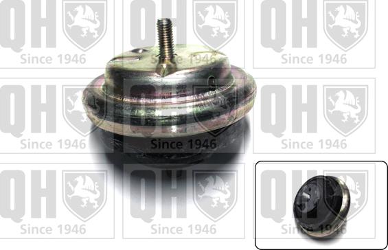 Quinton Hazell EM4156 - Piekare, Dzinējs www.autospares.lv