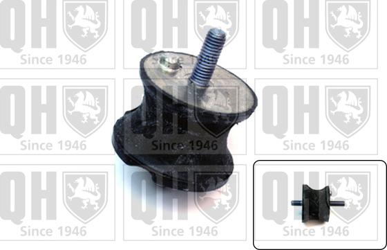 Quinton Hazell EM2576 - Piekare, Dzinējs www.autospares.lv