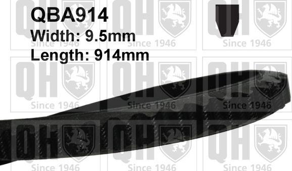 Quinton Hazell QBA914 - Клиновой ремень, поперечные рёбра www.autospares.lv