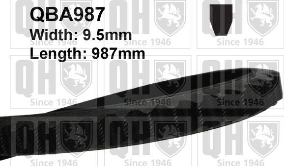 Quinton Hazell QBA987 - Клиновой ремень, поперечные рёбра www.autospares.lv