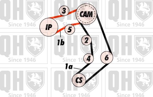 Quinton Hazell QBK443 - Zobsiksnas komplekts www.autospares.lv