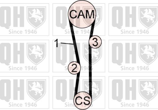 Quinton Hazell QBK655 - Zobsiksnas komplekts www.autospares.lv