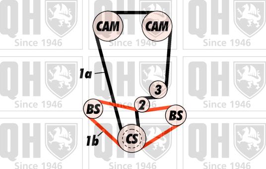 Quinton Hazell QBK396 - Zobsiksnas komplekts autospares.lv