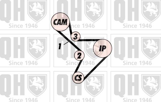 Quinton Hazell QBK317 - Zobsiksnas komplekts www.autospares.lv