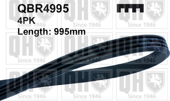 Quinton Hazell QBR4995 - Поликлиновой ремень www.autospares.lv