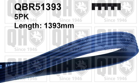 Quinton Hazell QBR51393 - Поликлиновой ремень www.autospares.lv