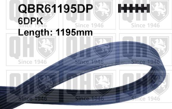 Quinton Hazell QBR61195DP - Поликлиновой ремень www.autospares.lv