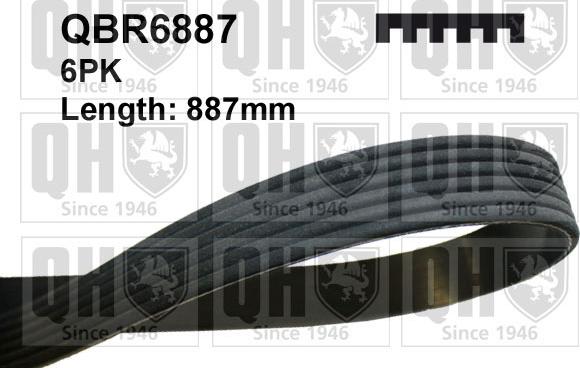 Quinton Hazell QBR6887 - Поликлиновой ремень www.autospares.lv