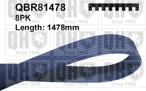 Quinton Hazell QBR81478 - Ķīļrievu siksna www.autospares.lv