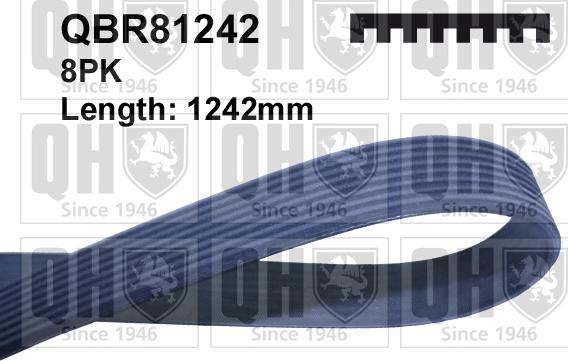 Quinton Hazell QBR81242 - Ķīļrievu siksna www.autospares.lv