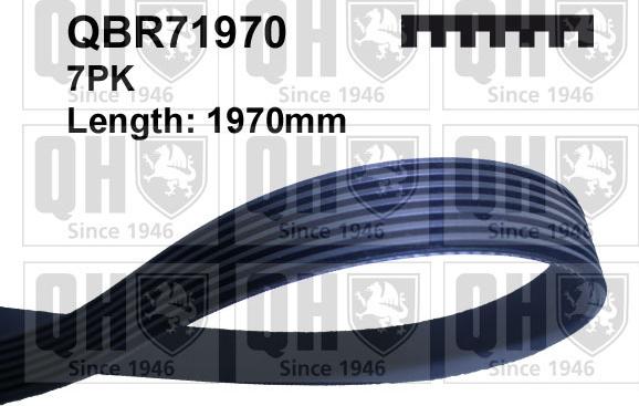 Quinton Hazell QBR71970 - V-Ribbed Belt www.autospares.lv