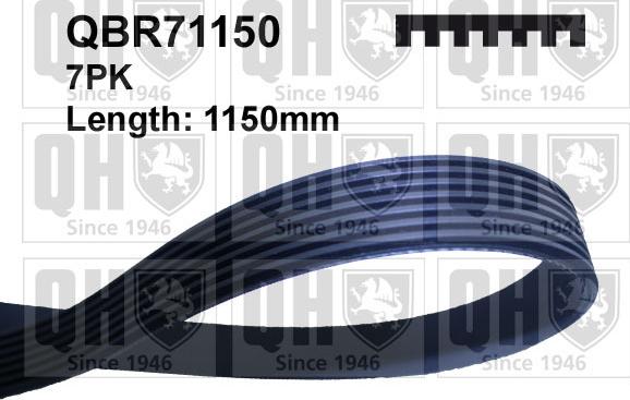 Quinton Hazell QBR71150 - V-Ribbed Belt www.autospares.lv