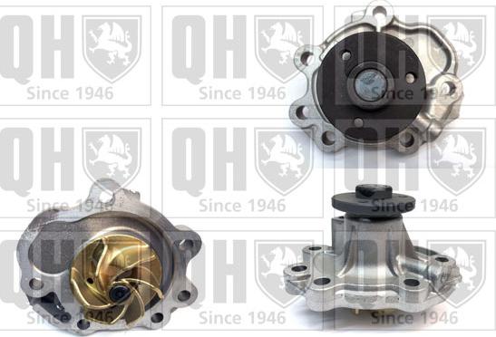 Quinton Hazell QCP3956 - Ūdenssūknis www.autospares.lv