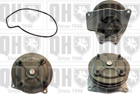 Quinton Hazell QCP3466 - Ūdenssūknis www.autospares.lv