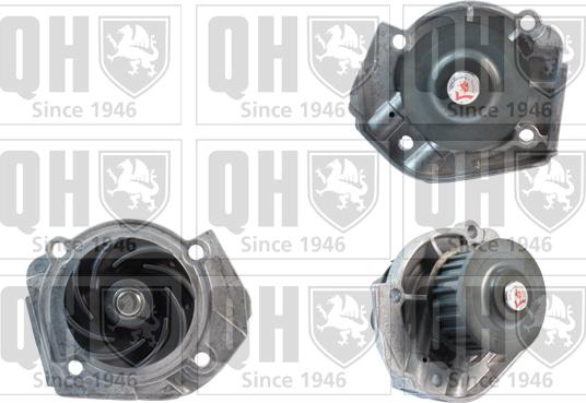 Quinton Hazell QCP3435 - Ūdenssūknis www.autospares.lv