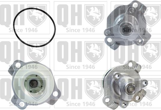 Quinton Hazell QCP3662 - Ūdenssūknis www.autospares.lv