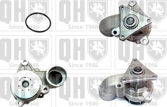 Quinton Hazell QCP3688 - Ūdenssūknis www.autospares.lv