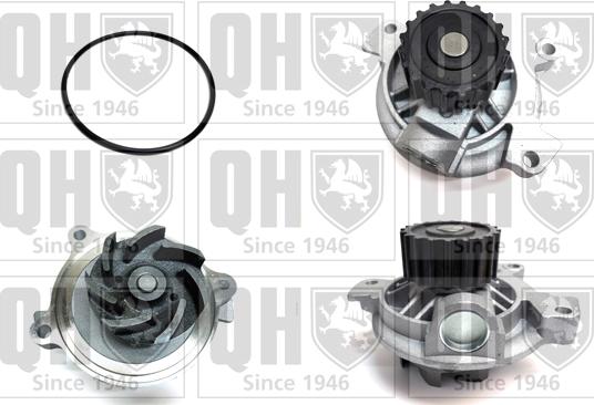 Quinton Hazell QCP3620 - Ūdenssūknis www.autospares.lv