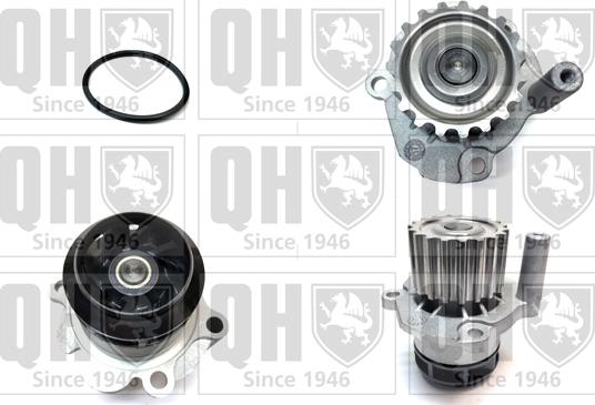 Quinton Hazell QCP3621 - Ūdenssūknis www.autospares.lv