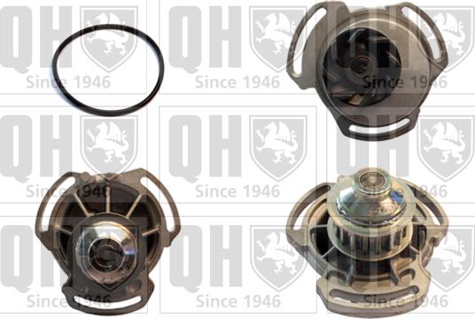 Quinton Hazell QCP3195 - Ūdenssūknis www.autospares.lv