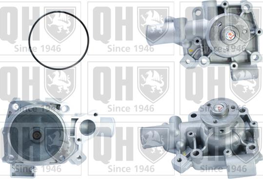 Quinton Hazell QCP3110 - Ūdenssūknis www.autospares.lv