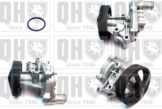 Quinton Hazell QCP3861 - Ūdenssūknis www.autospares.lv