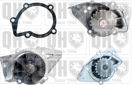 Quinton Hazell QCP3391 - Ūdenssūknis autospares.lv