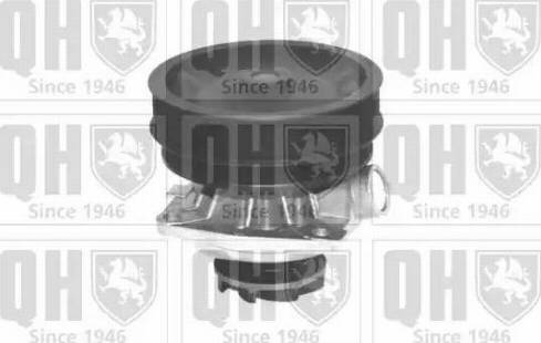 Quinton Hazell QCP3289 - Ūdenssūknis www.autospares.lv