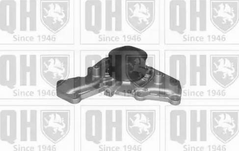 Quinton Hazell QCP3281 - Ūdenssūknis www.autospares.lv