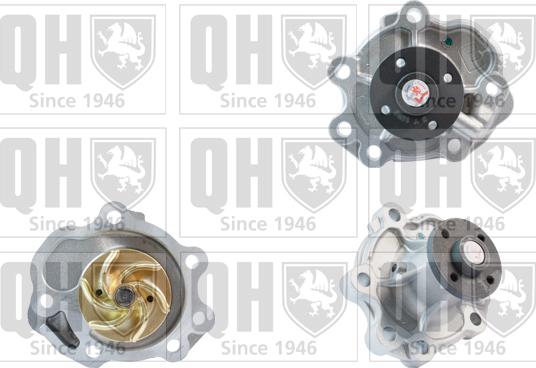 Quinton Hazell QCP3704 - Ūdenssūknis www.autospares.lv