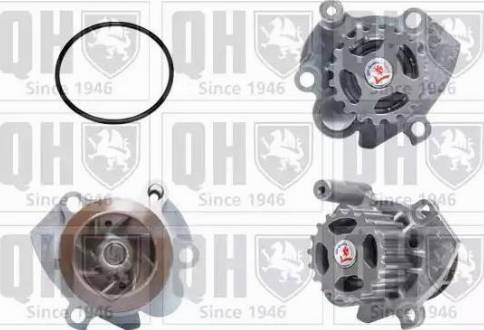 Quinton Hazell QCP3736 - Ūdenssūknis www.autospares.lv