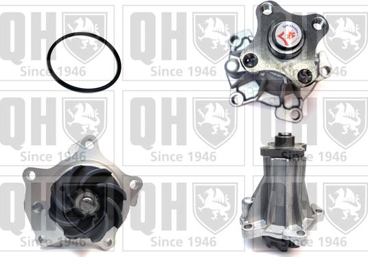 Quinton Hazell QCP2934 - Ūdenssūknis www.autospares.lv