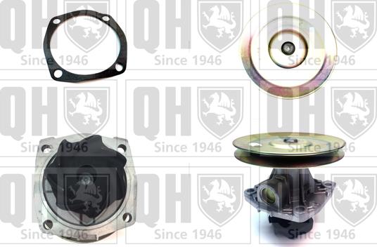 Quinton Hazell QCP2696 - Ūdenssūknis www.autospares.lv