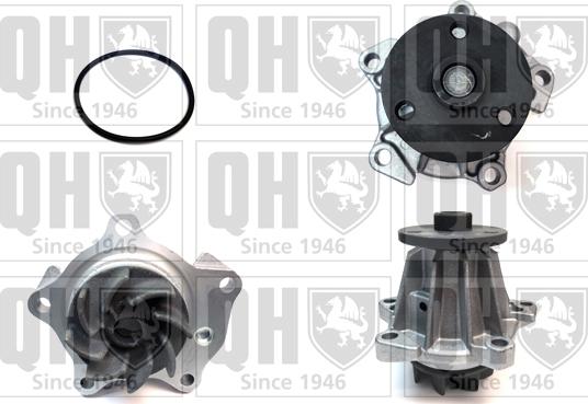 Quinton Hazell QCP2887 - Ūdenssūknis www.autospares.lv