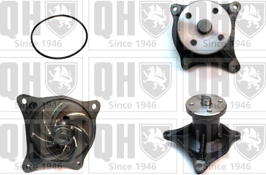 Quinton Hazell QCP2830 - Ūdenssūknis www.autospares.lv