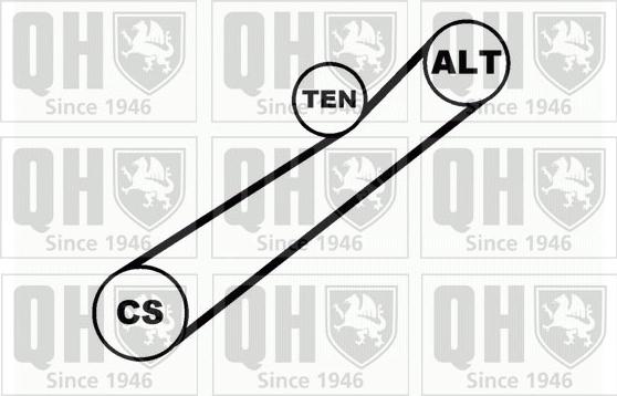 Quinton Hazell QDK9 - Ķīļrievu siksnu komplekts www.autospares.lv