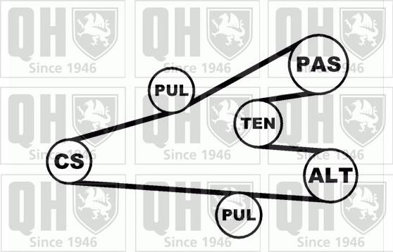 Quinton Hazell QDK56 - Ķīļrievu siksnu komplekts www.autospares.lv