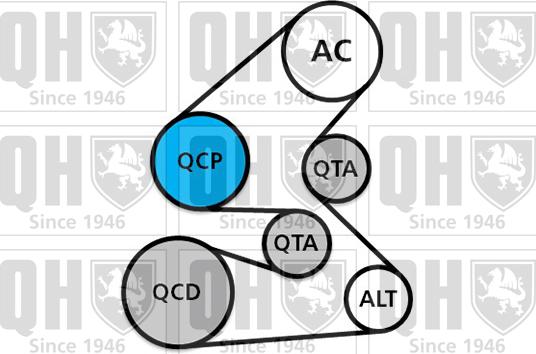 Quinton Hazell QDK143 - Ķīļrievu siksnu komplekts www.autospares.lv