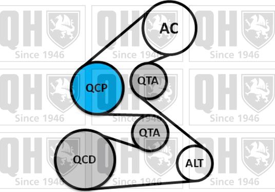 Quinton Hazell QDK152 - Ķīļrievu siksnu komplekts www.autospares.lv