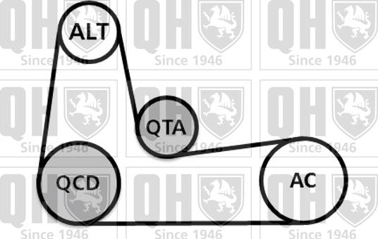 Quinton Hazell QDK89 - V-Ribbed Belt Set www.autospares.lv