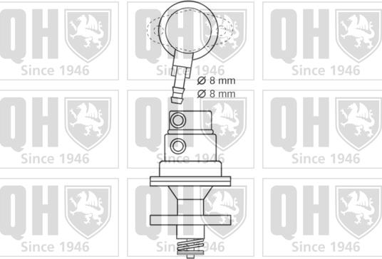 Quinton Hazell QFP530 - Degvielas sūknis www.autospares.lv